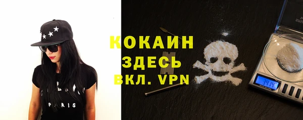 трава Пересвет