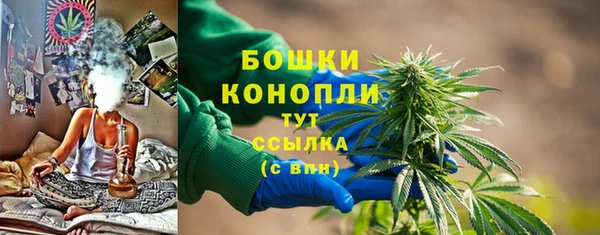 трава Пересвет